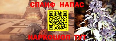 ешки Будённовск