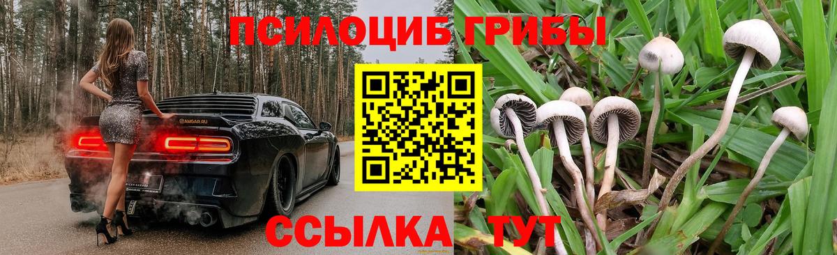 Псилоцибиновые грибы мухоморы Лиски